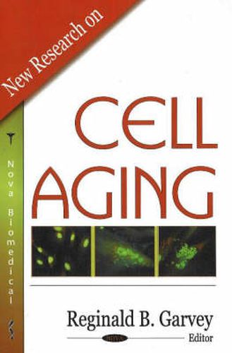Cover image for New Research on Cell Aging