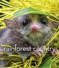 Cover image for Rainforest Country