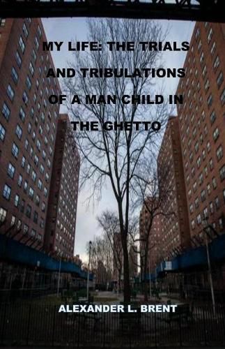 Cover image for My Life: The Trials and Tribulations of a Man Child in the Ghetto