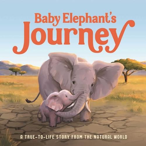 Cover image for Baby Elephant's Journey