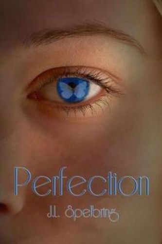 Cover image for Perfection