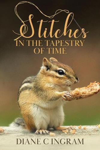 Cover image for Stitches in the Tapestry of Time