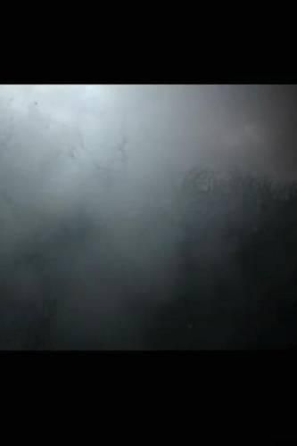 Cover image for The Last Transmissions