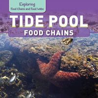 Cover image for Tide Pool Food Chains