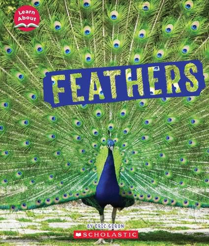 Cover image for Feathers (Learn About: Animal Coverings)