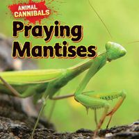 Cover image for Praying Mantises