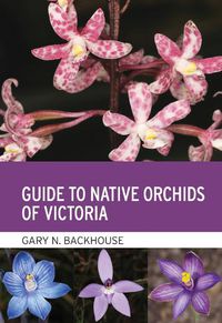 Cover image for Guide to Native Orchids of Victoria