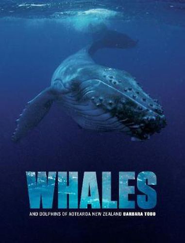 Cover image for Whales and Dolphins of Aotearoa New Zealand