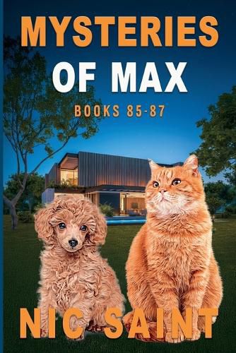 Cover image for Mysteries of Max