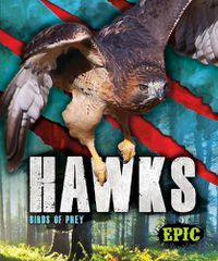 Cover image for Hawks: Birds of Prey