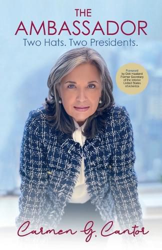 Cover image for The Ambassador