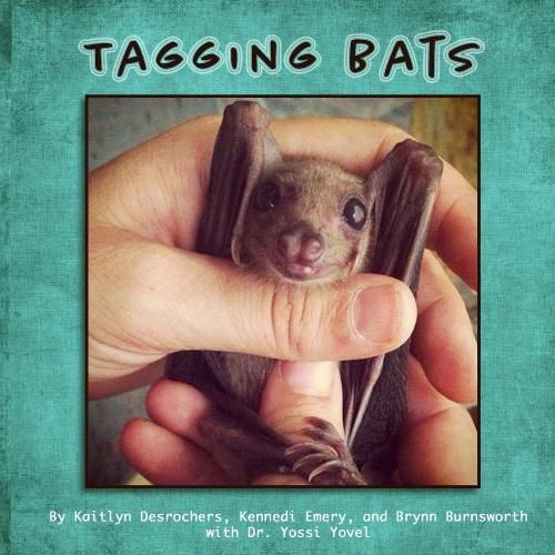 Cover image for Tagging Bats