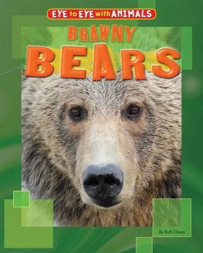 Cover image for Brawny Bears