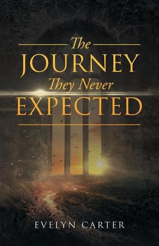 Cover image for The Journey They Never Expected