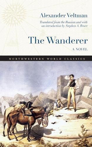 Cover image for The Wanderer