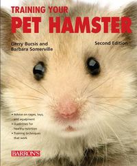 Cover image for Training Your Pet Hamster