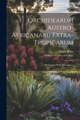 Cover image for Orchidearum Austro-Africanaru Extra- Tropicarum; or Figures, With Descriptions