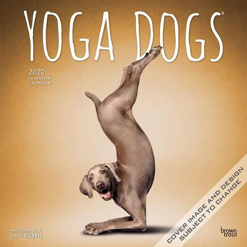 Cover image for Yoga Dogs 2022 Square