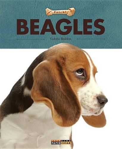 Cover image for Beagles