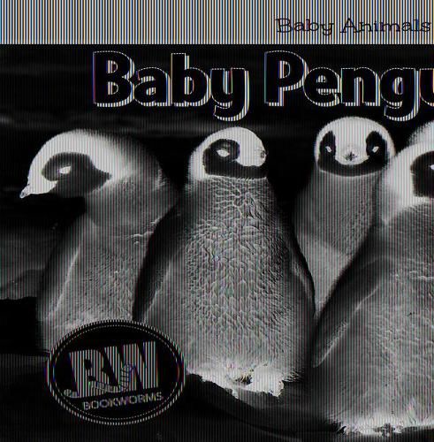 Baby Penguins