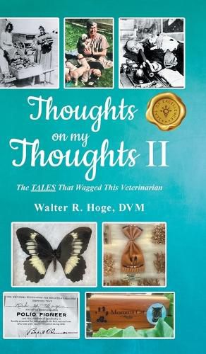 Cover image for Thoughts on my Thoughts II