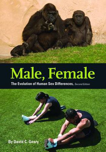 Cover image for Male, Female: The Evolution of Human Sex Differences