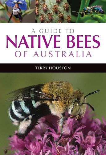 Cover image for A Guide to Native Bees of Australia