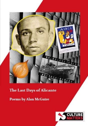 Cover image for The Last Days of Alicante