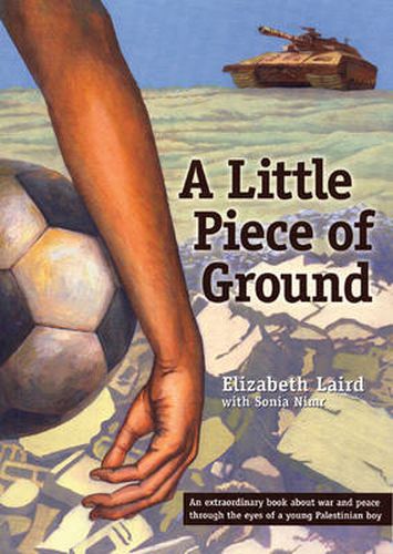 Cover image for A Little Piece of Ground