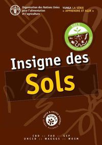 Cover image for Insigne des sols