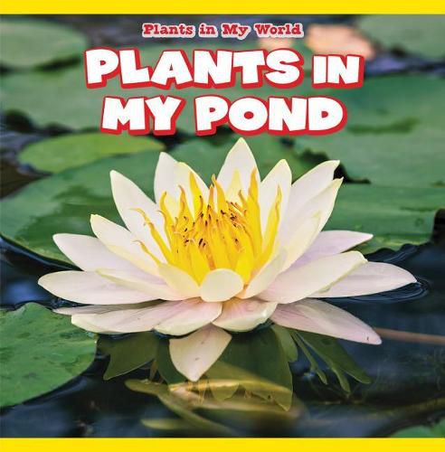 Cover image for Plants in My Pond