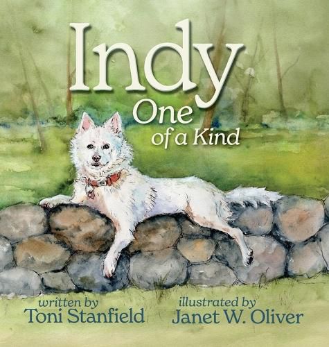Cover image for Indy, One of a Kind
