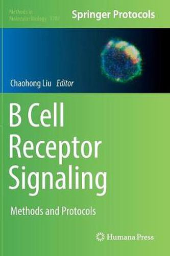 Cover image for B Cell Receptor Signaling: Methods and Protocols