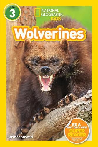 Cover image for National Geographic Kids Readers: Wolverines (L3)