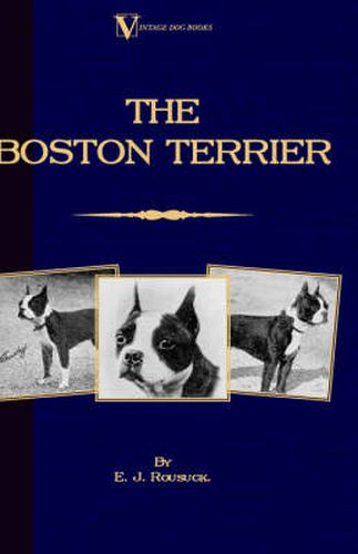 Cover image for The Boston Terrier (A Vintage Dog Books Breed Classic)