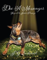 Cover image for Doc A Messenger