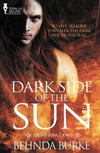 Cover image for Eight Kingdoms: Dark Side of the Sun