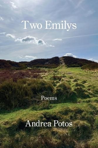 Cover image for Two Emilys