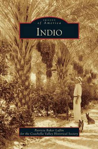 Cover image for Indio