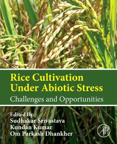 Rice Cultivation Under Abiotic Stress