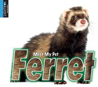 Cover image for Ferret