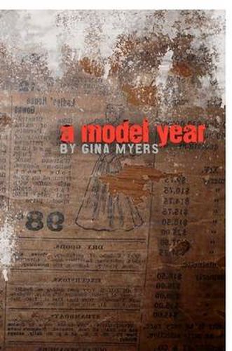 Cover image for A Model Year