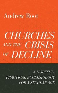 Cover image for Churches and the Crisis of Decline