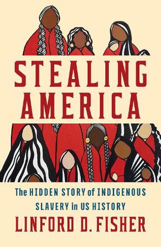 Cover image for Stealing America