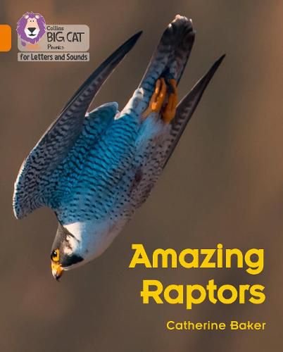 Amazing Raptors: Band 06/Orange