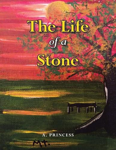 Cover image for The Life of a Stone