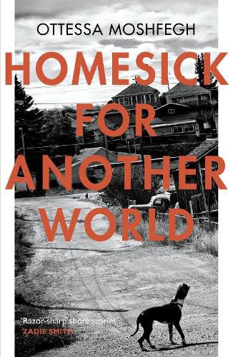 Cover image for Homesick For Another World