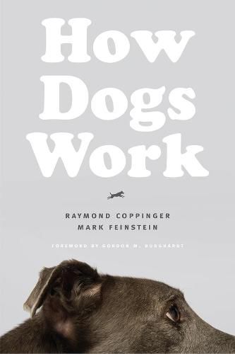 Cover image for How Dogs Work