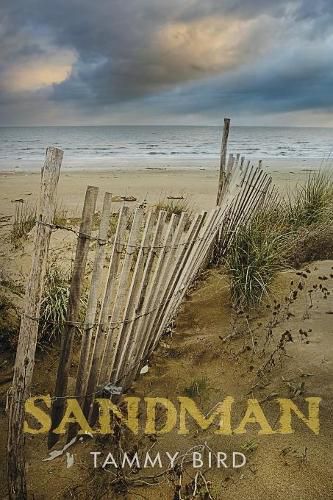 Cover image for Sandman