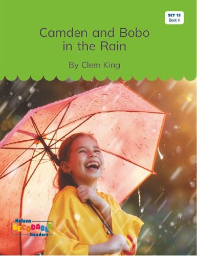 Cover image for Camden and Bobo in the Rain (Set 15, Book 4)